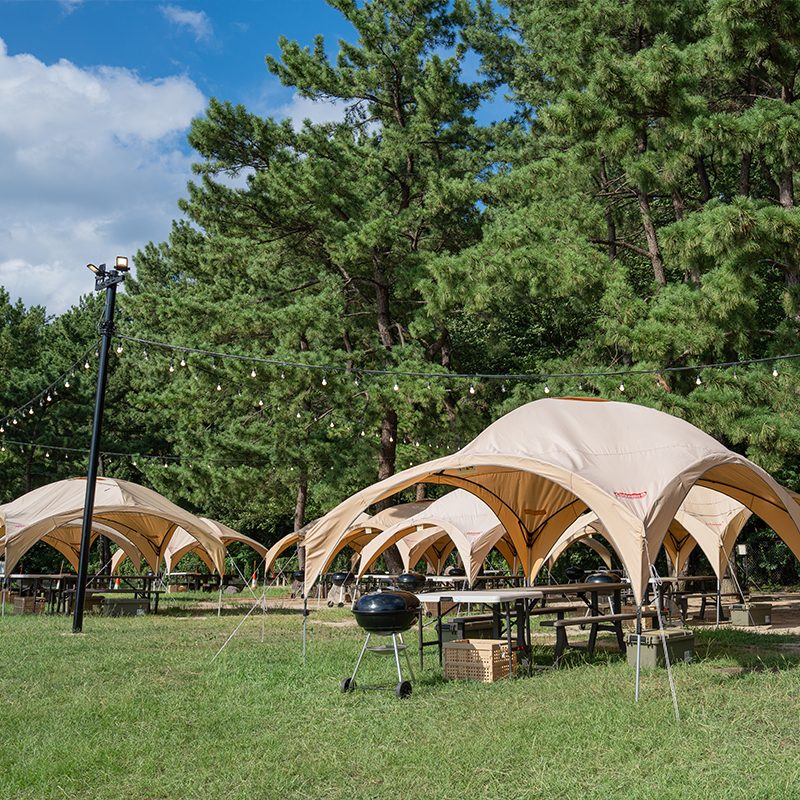 テーブルサイト